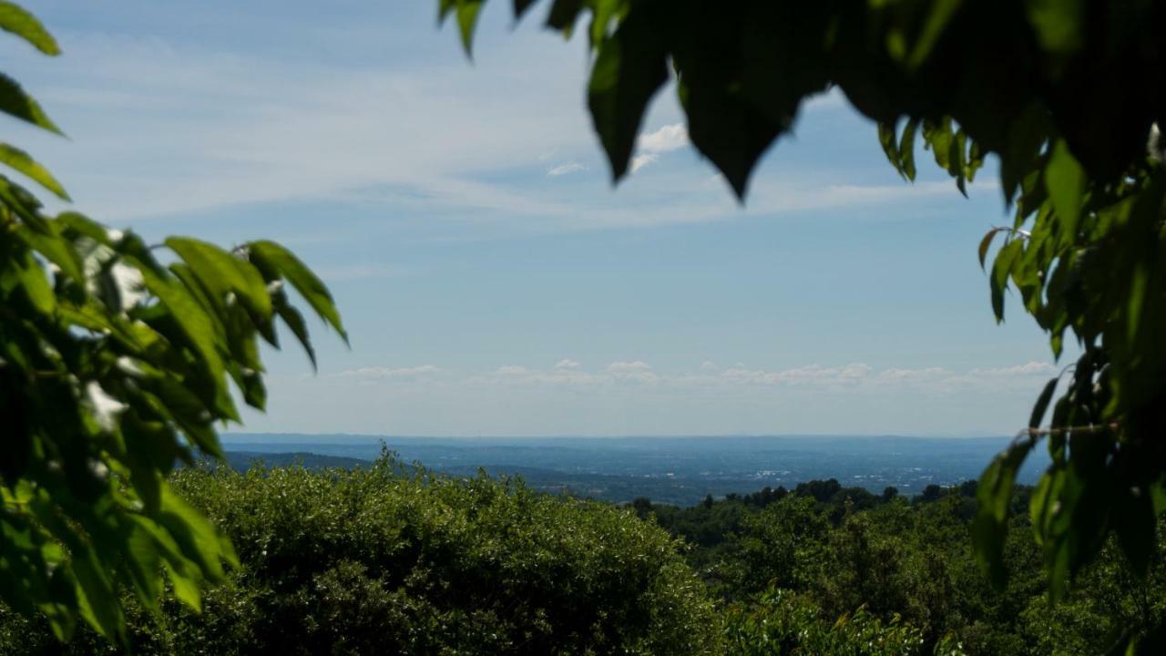 Vila Les Cerisiers De Stella Blauvac Exteriér fotografie